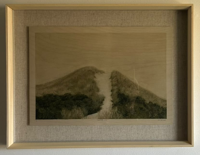Noordhoek Dune - Framed Print