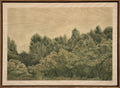 Wilderness