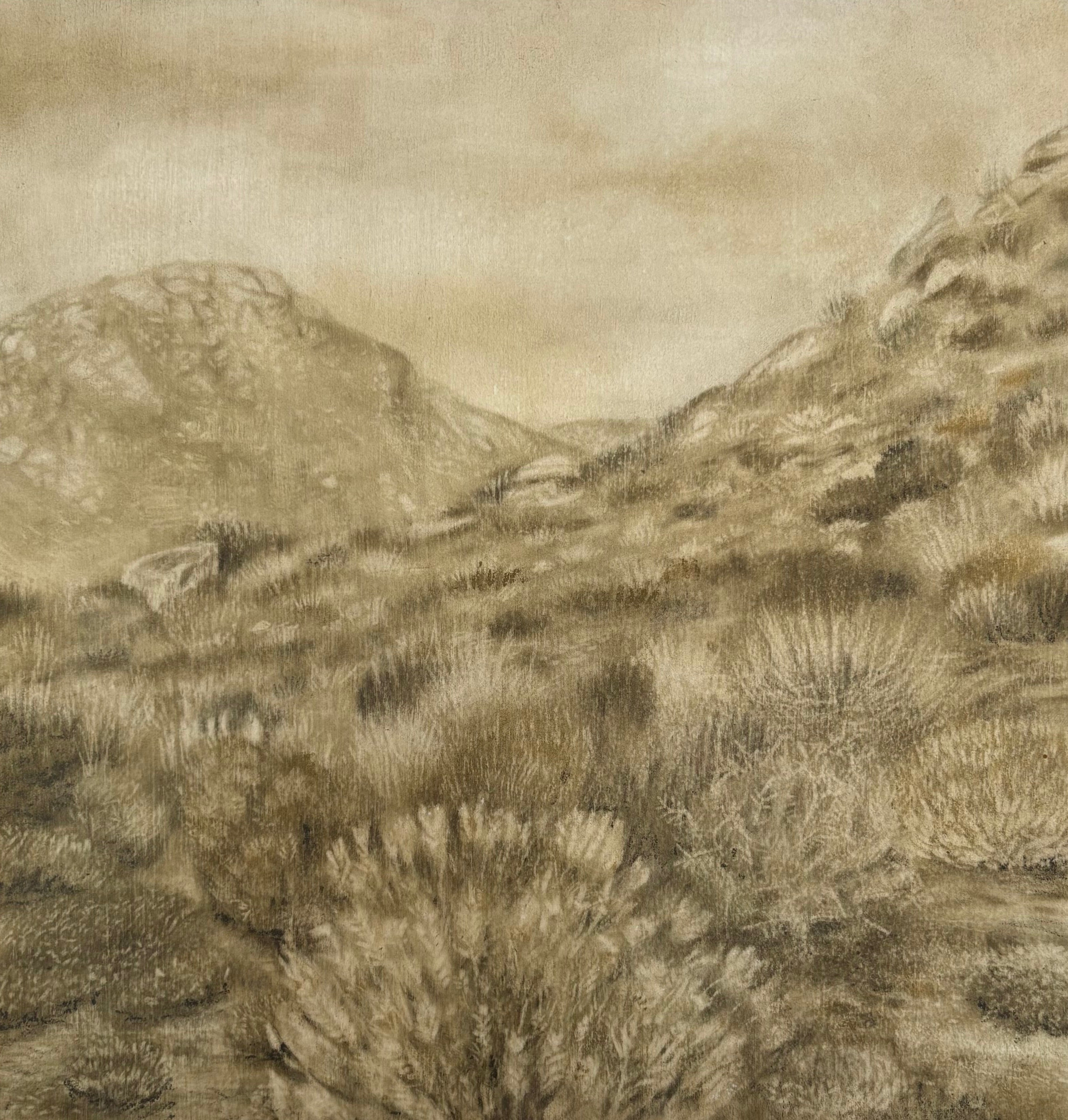 Namaqua land 1
